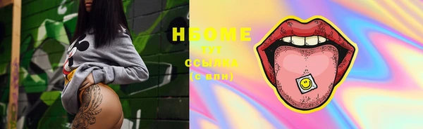 ГАЛЛЮЦИНОГЕННЫЕ ГРИБЫ Туринск