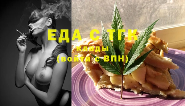 индика Тобольск