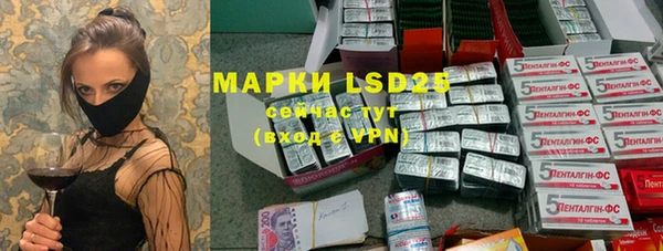 индика Тобольск